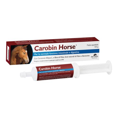 CAROBIN HORSE PASTA 100G
