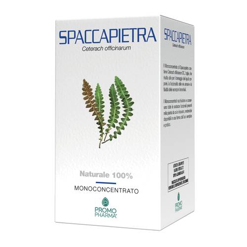SPACCAPIETRA 50CPS