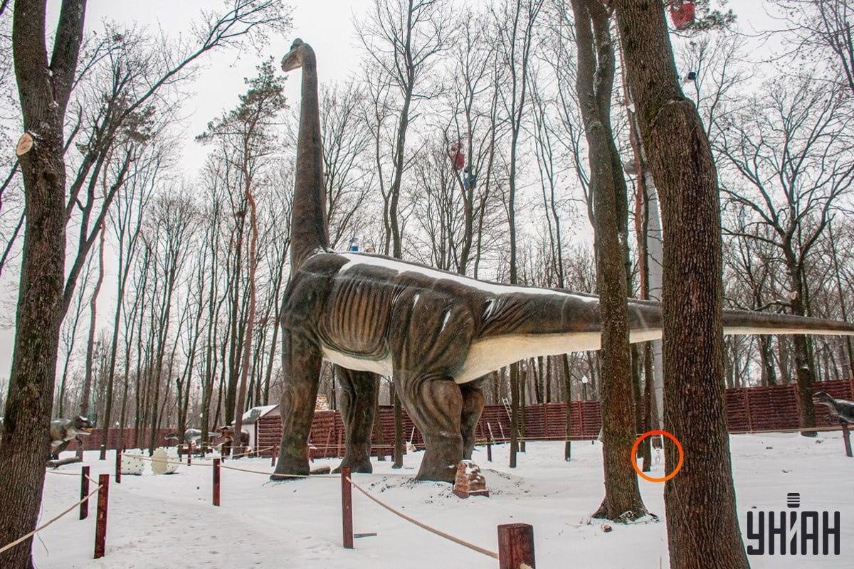 Il cane era vicino all'angolo in basso a sinistra dell'immagine / collage Moje