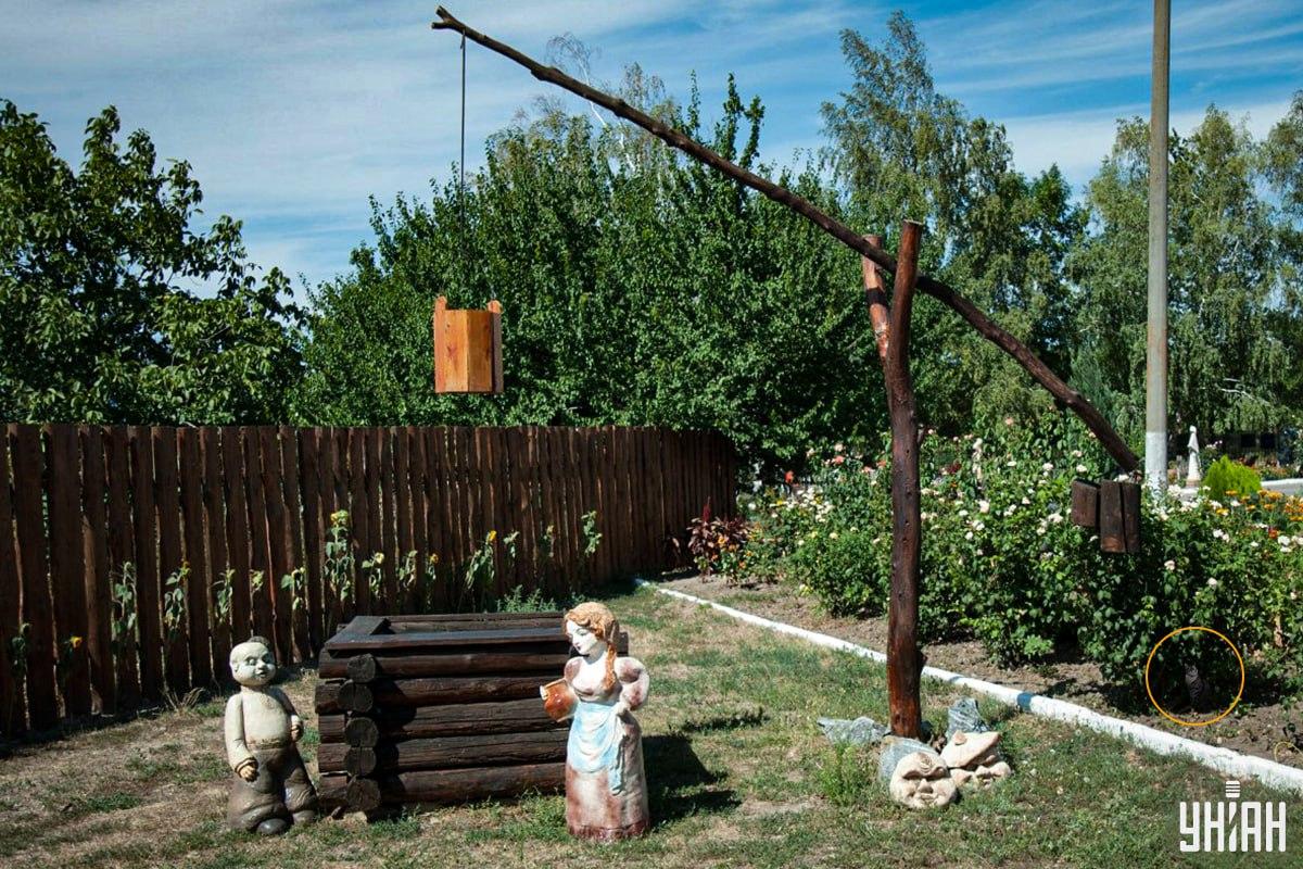 Il gatto era nell'aiuola / collage Moje