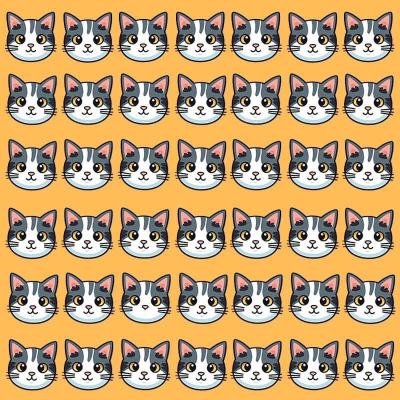 Questa illusione ottica è possibile solo per persone con un QI grandioso / immagine Moje