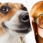 Solo un vero titano del QI può vedere un cane